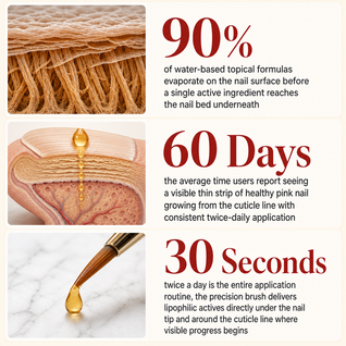 ClearRoot Toenail Fungus Care Solution